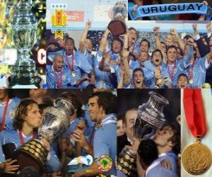 пазл Чемпион Уругвая Копа Америка 2011